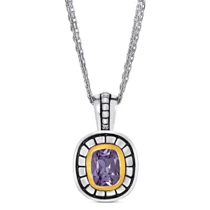 14K And 925 Sterling Silver Pendant With Amethyst (141P113904AM)