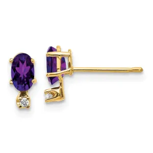 14k Yellow Gold Amethyst Birthstone Post Earrings