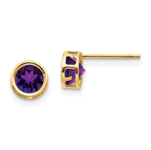 14k Yellow Gold Round Amethyst Birthstone Earrings