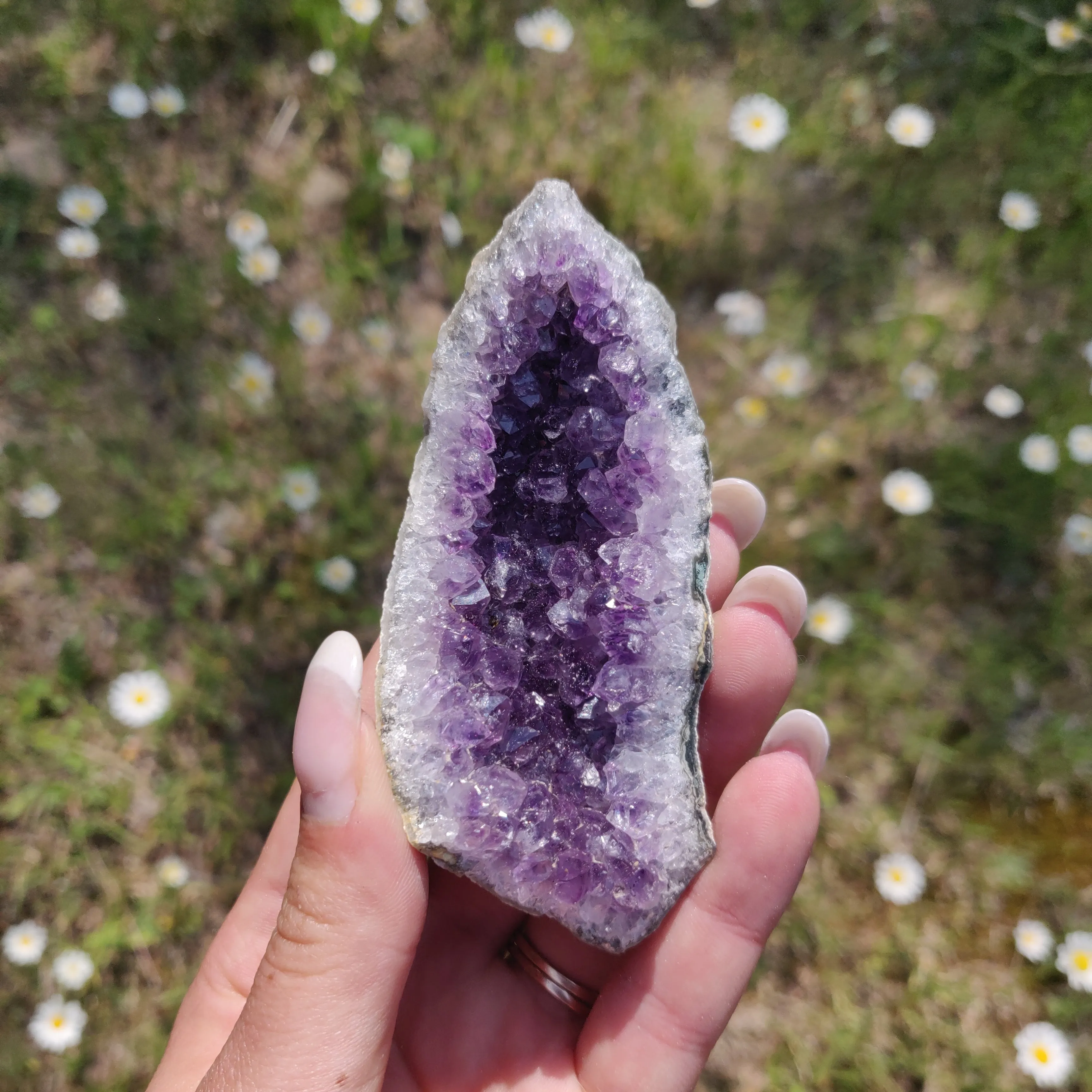 Amethyst Cluster (#2M)