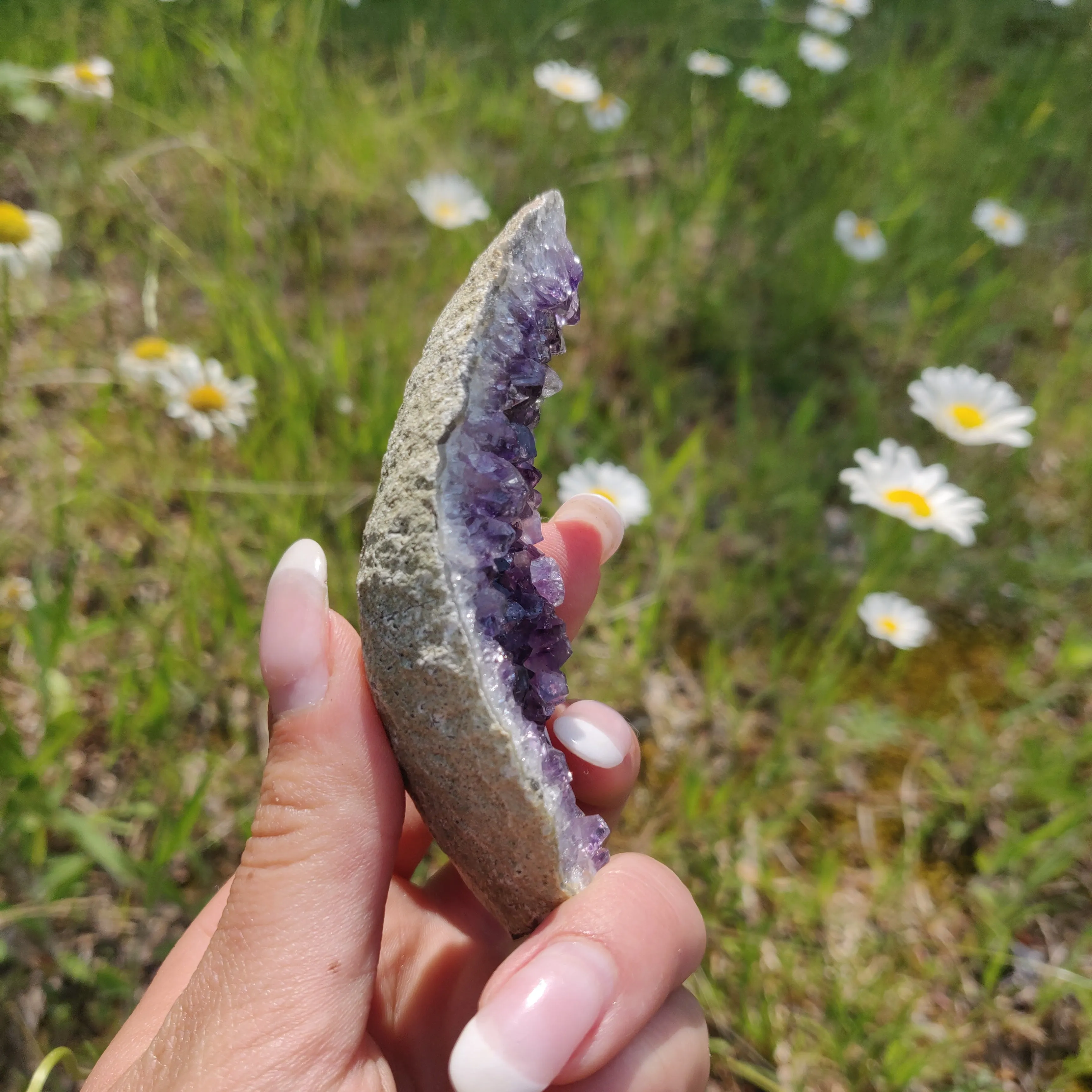 Amethyst Cluster (#2M)