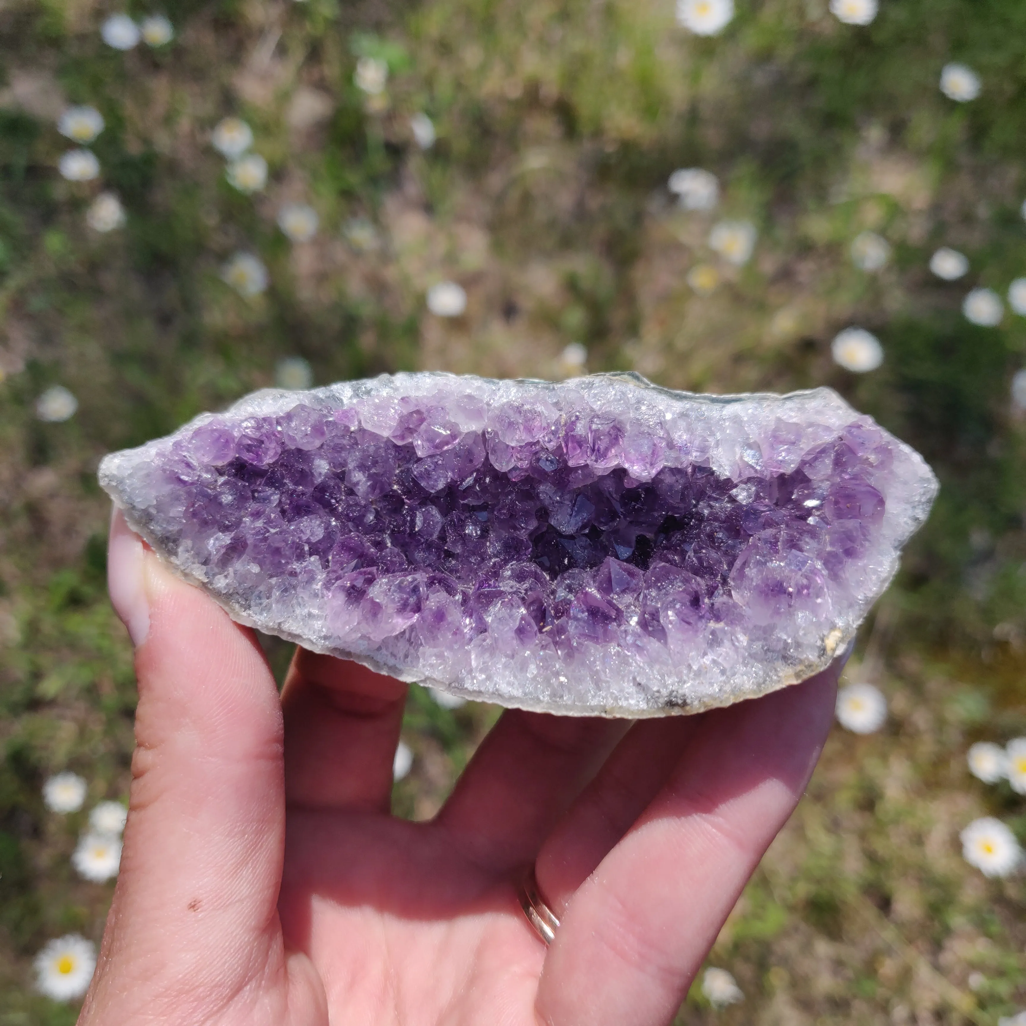 Amethyst Cluster (#2M)