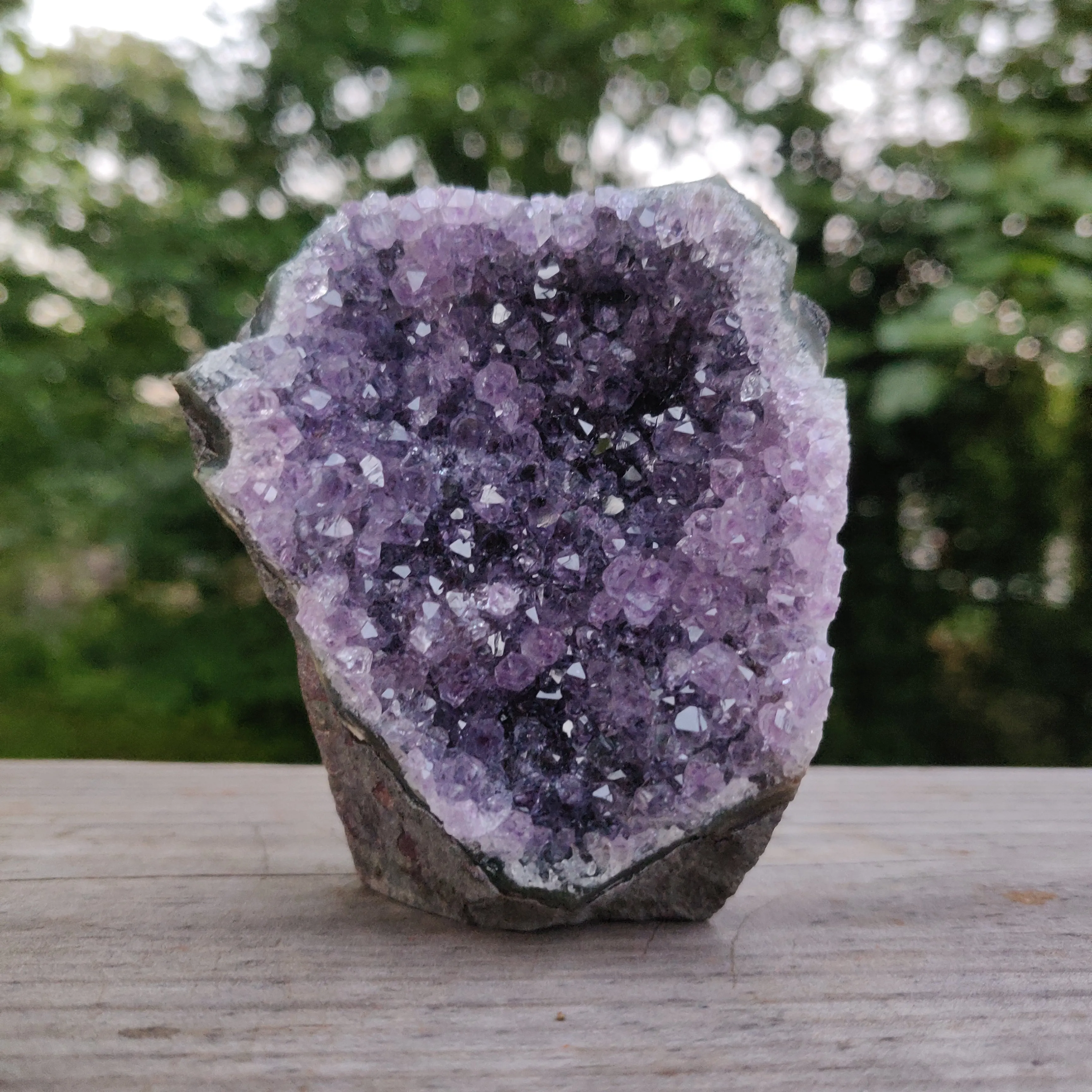 Amethyst Geode Free Form, Cut Base (#3)