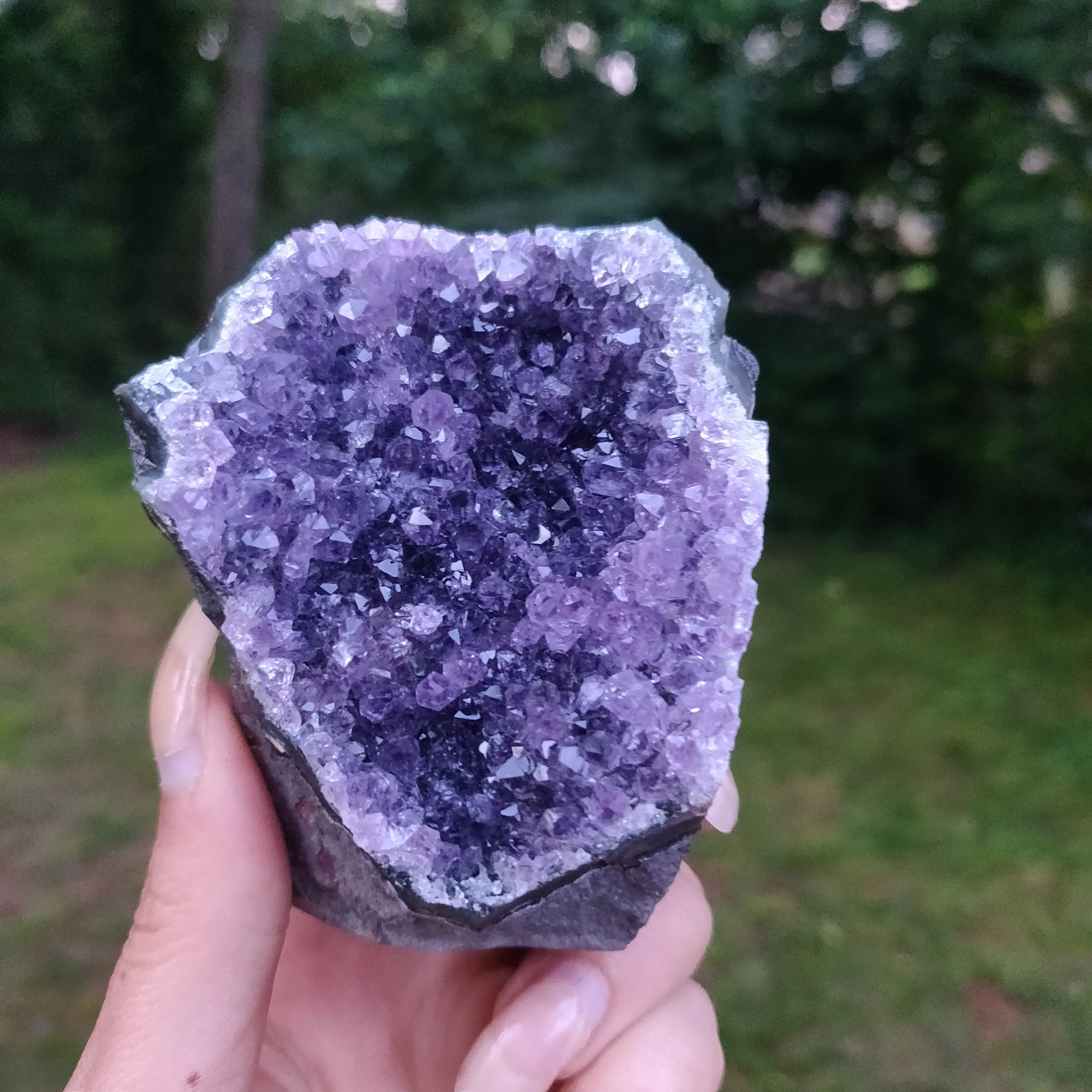 Amethyst Geode Free Form, Cut Base (#3)