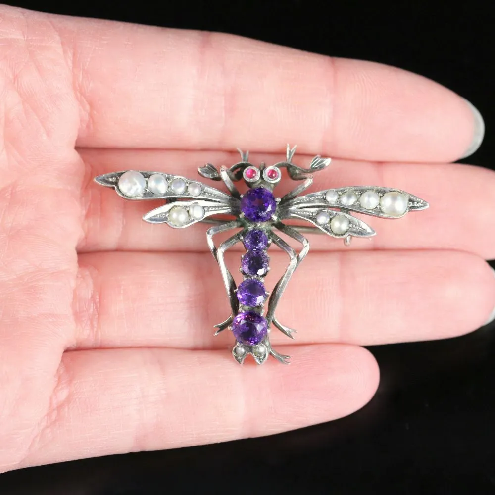 Antique Victorian Dragonfly Brooch Circa 1900