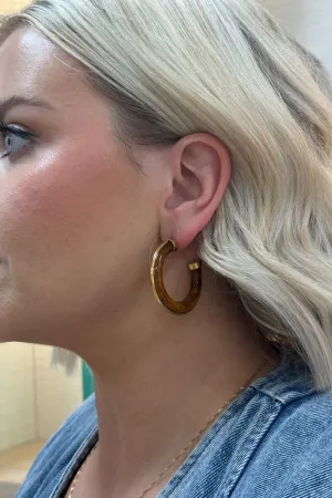 Cameron Amber Insert Earrings In Gold