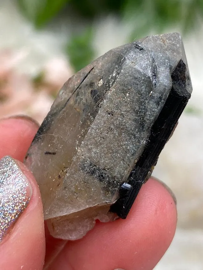 Mixed Tourmaline in Quartz