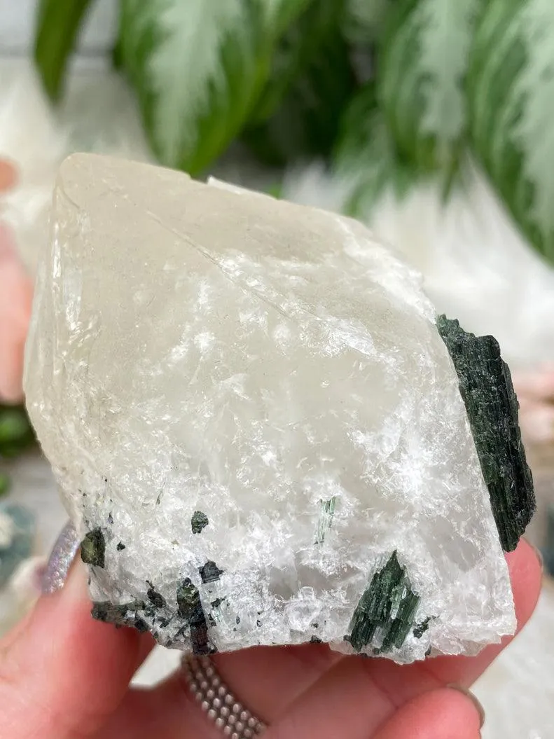 Mixed Tourmaline in Quartz