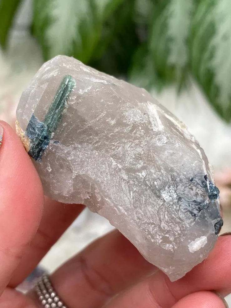 Mixed Tourmaline in Quartz