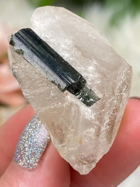 Mixed Tourmaline in Quartz