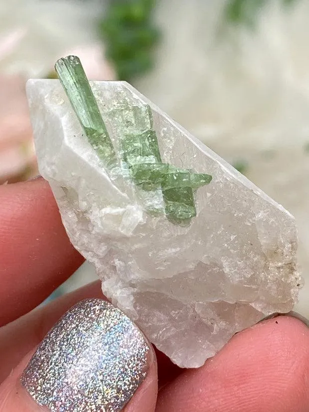 Mixed Tourmaline in Quartz