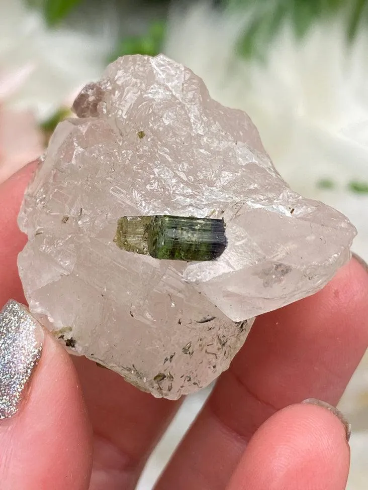 Mixed Tourmaline in Quartz