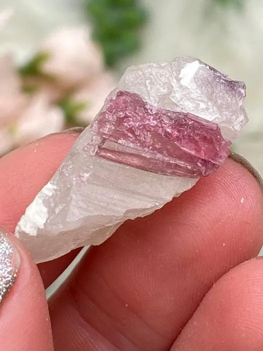 Mixed Tourmaline in Quartz