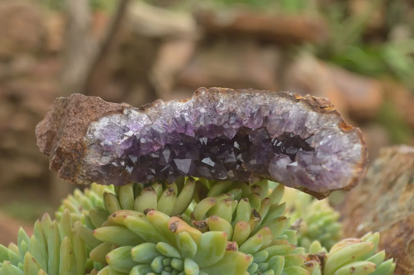 Natural Crystal & Amethyst Centred Geodes x 6 From Zululand, South Africa