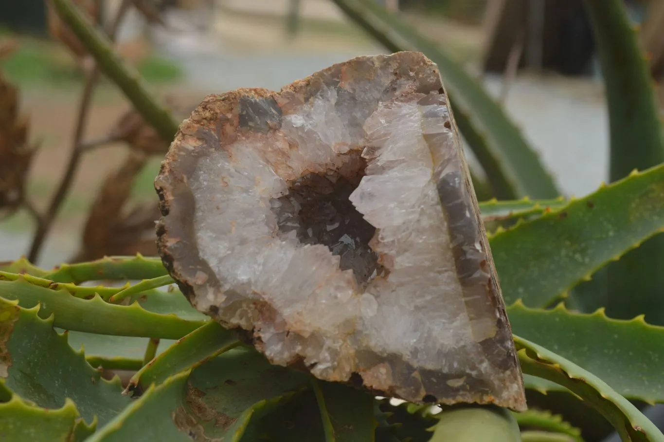 Natural Crystal & Amethyst Centred Geodes x 6 From Zululand, South Africa