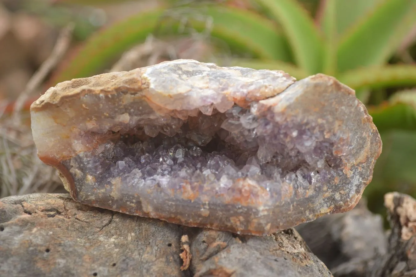 Natural Crystal & Amethyst Centred Geodes x 6 From Zululand, South Africa