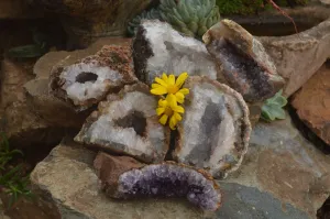 Natural Crystal & Amethyst Centred Geodes x 6 From Zululand, South Africa