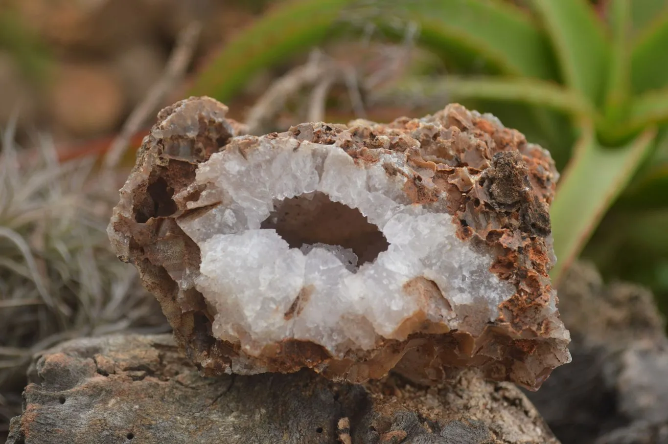 Natural Crystal & Amethyst Centred Geodes x 6 From Zululand, South Africa