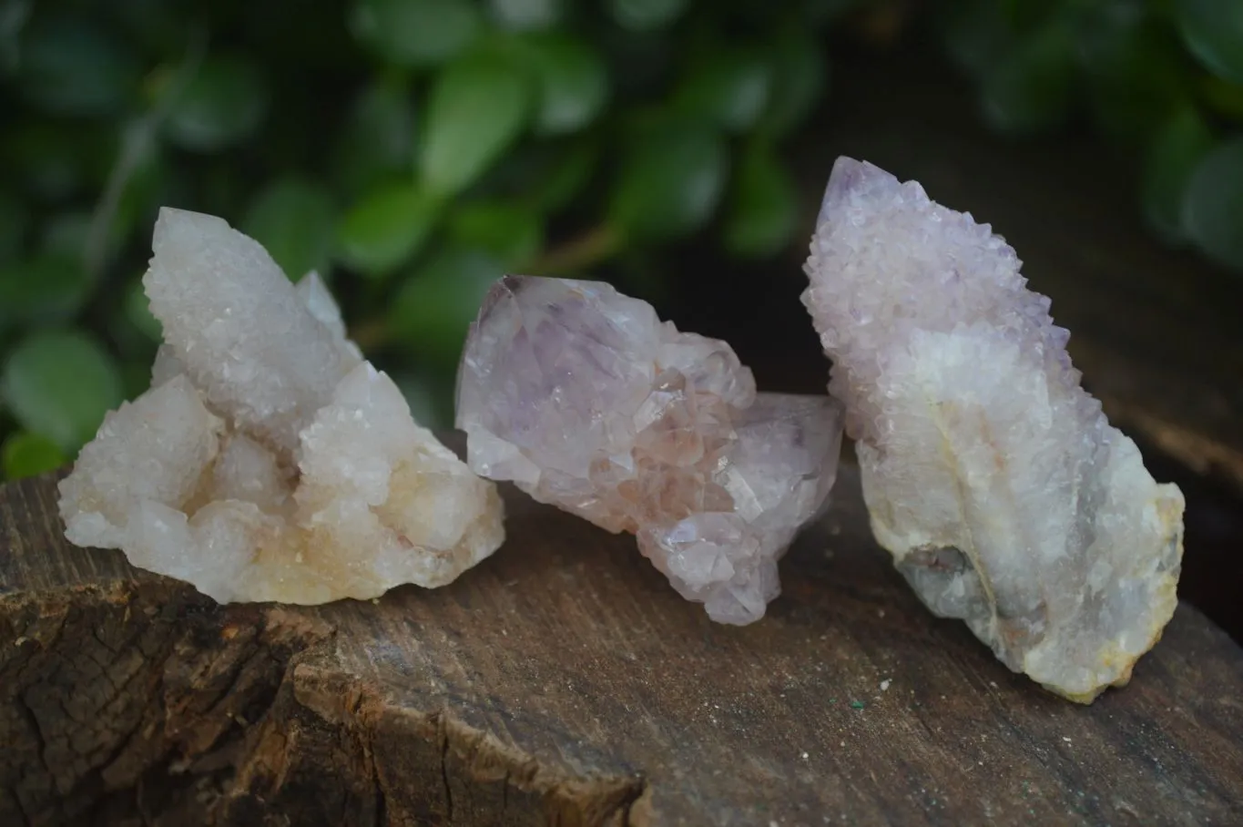 Natural Rare Spirit Ametrine Quartz Crystals x 35 From Boekenhouthoek, South Africa