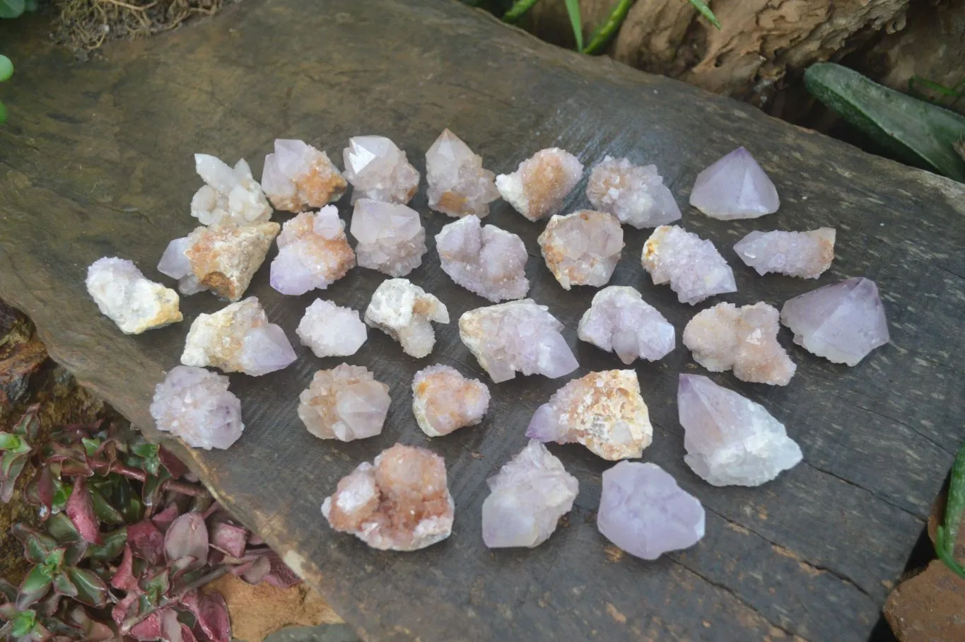 Natural Rare Spirit Ametrine Quartz Crystals x 35 From Boekenhouthoek, South Africa