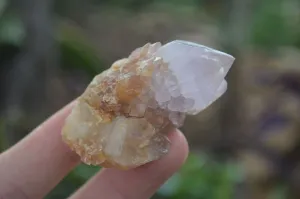 Natural Rare Spirit Ametrine Quartz Crystals x 35 From Boekenhouthoek, South Africa