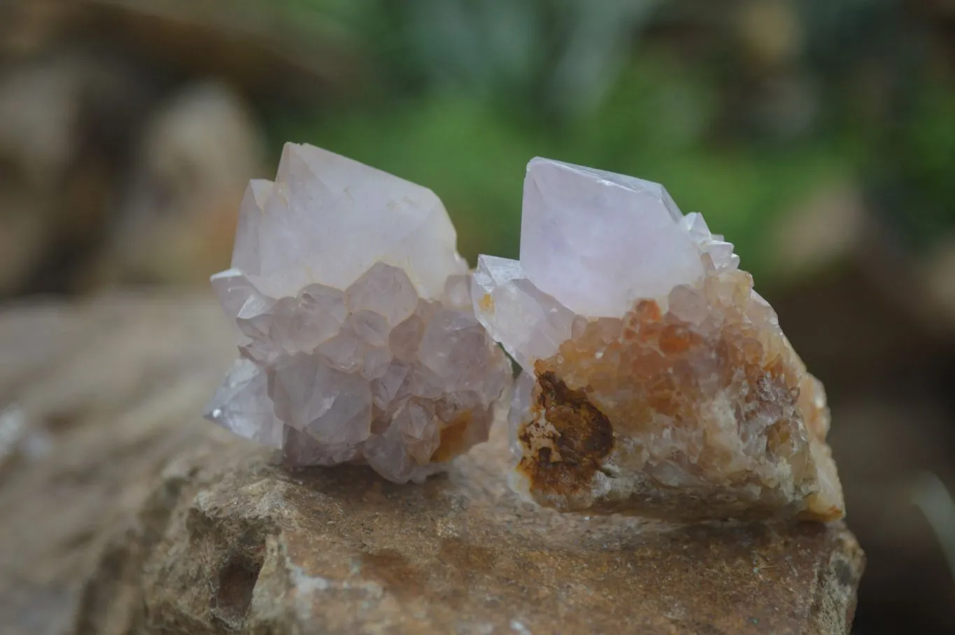 Natural Rare Spirit Ametrine Quartz Crystals x 35 From Boekenhouthoek, South Africa