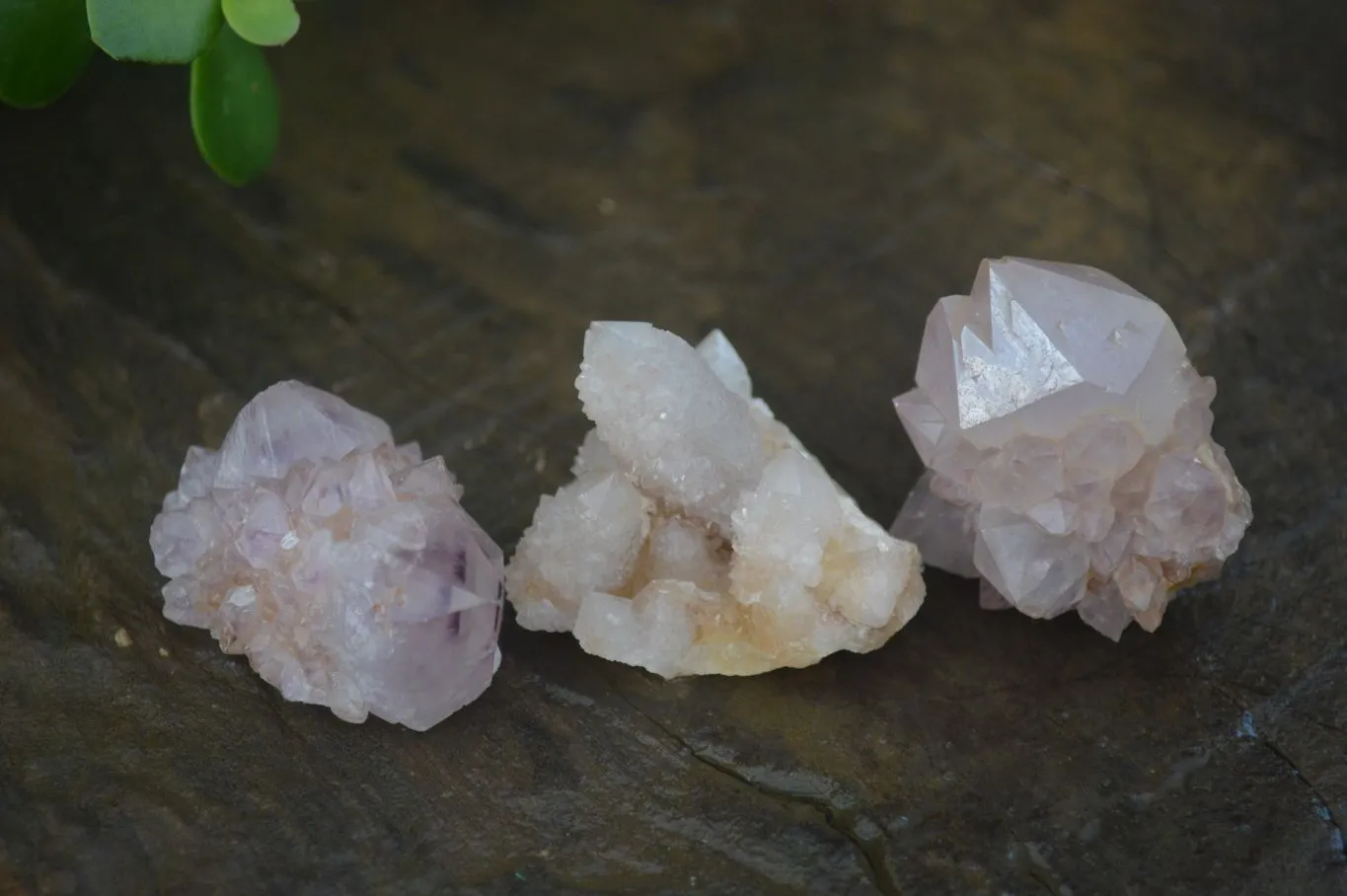 Natural Rare Spirit Ametrine Quartz Crystals x 35 From Boekenhouthoek, South Africa