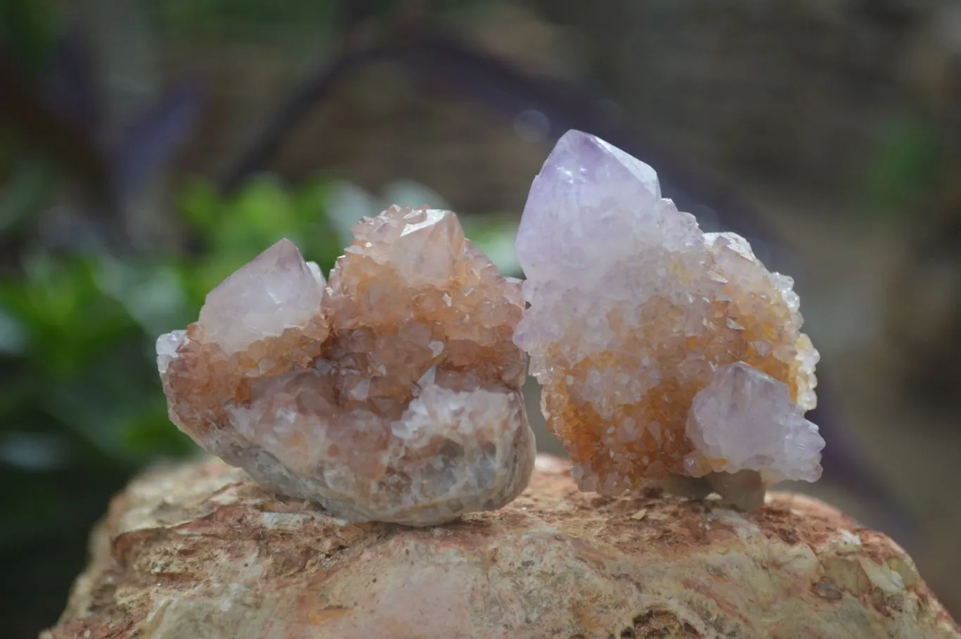 Natural Rare Spirit Ametrine Quartz Crystals x 35 From Boekenhouthoek, South Africa