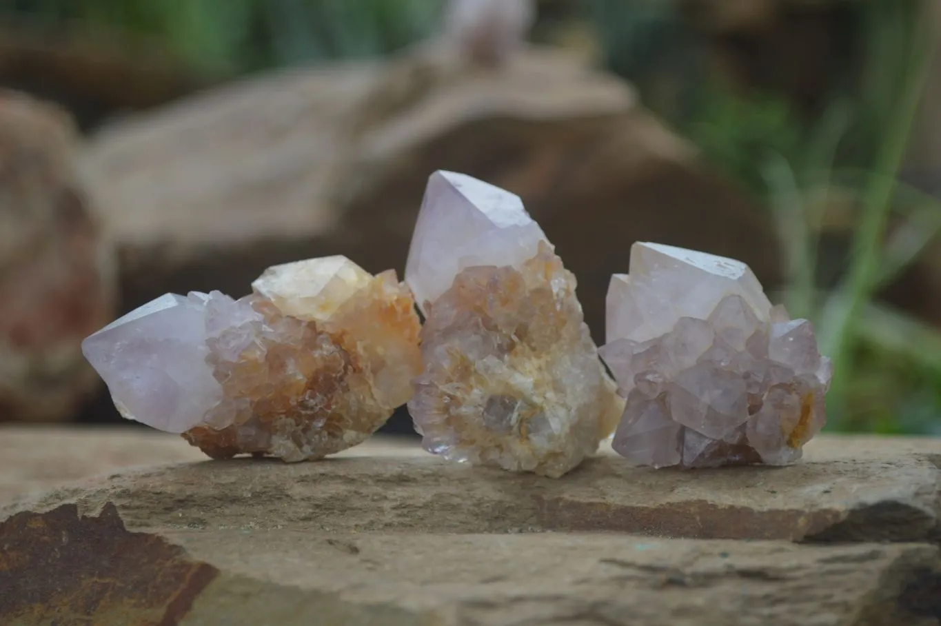 Natural Rare Spirit Ametrine Quartz Crystals x 35 From Boekenhouthoek, South Africa