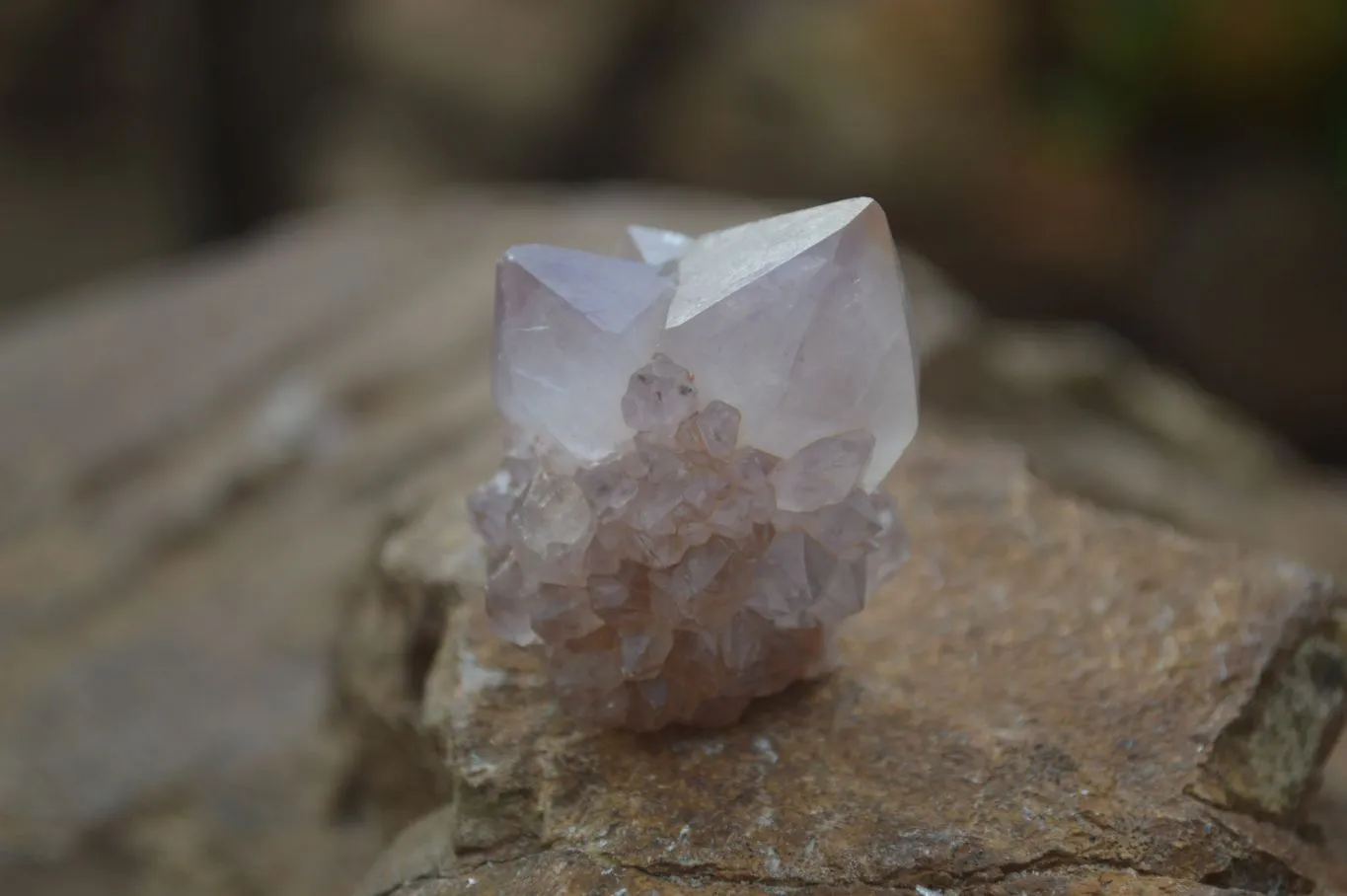 Natural Rare Spirit Ametrine Quartz Crystals x 35 From Boekenhouthoek, South Africa