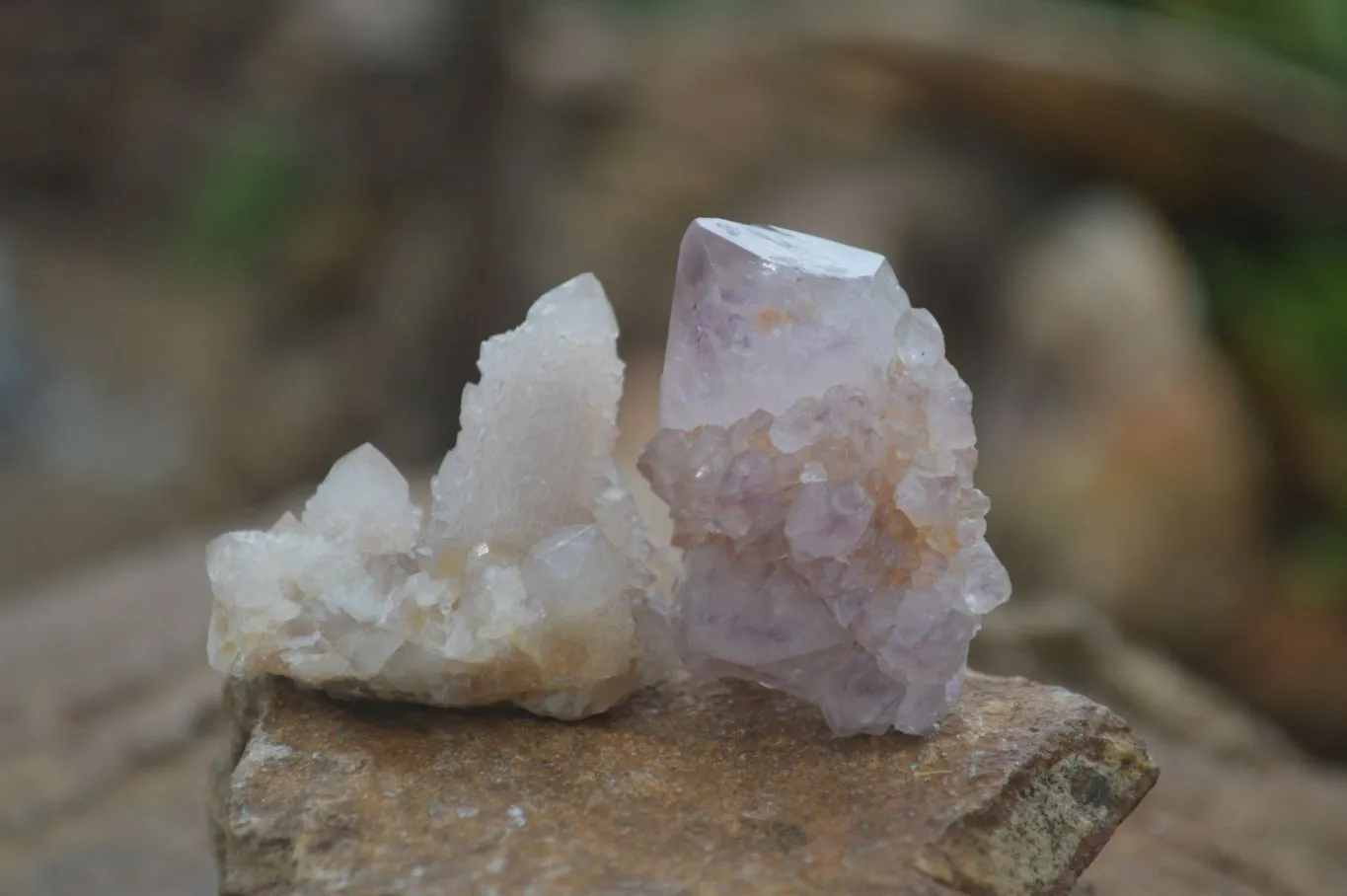 Natural Rare Spirit Ametrine Quartz Crystals x 35 From Boekenhouthoek, South Africa