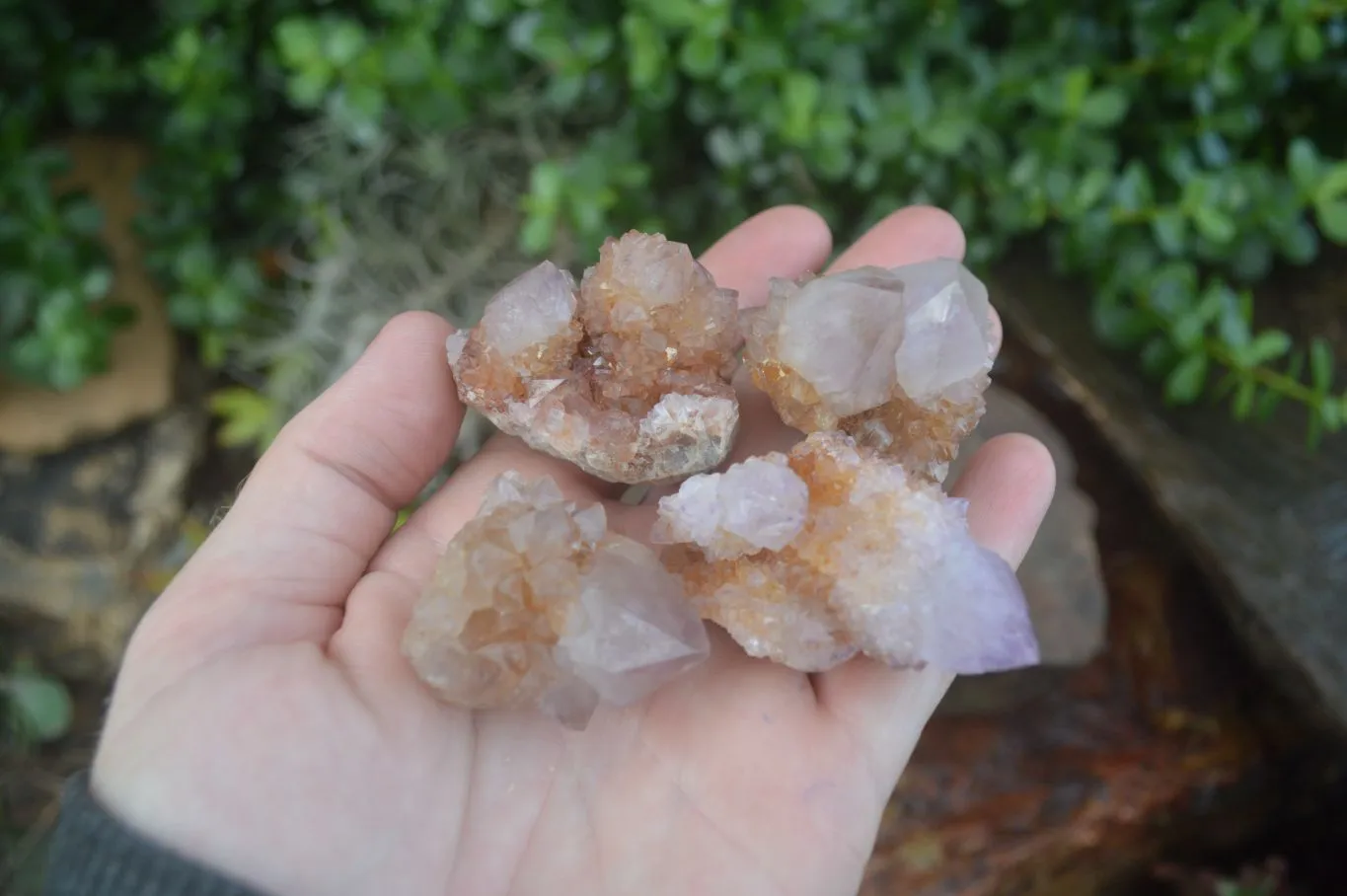 Natural Rare Spirit Ametrine Quartz Crystals x 35 From Boekenhouthoek, South Africa