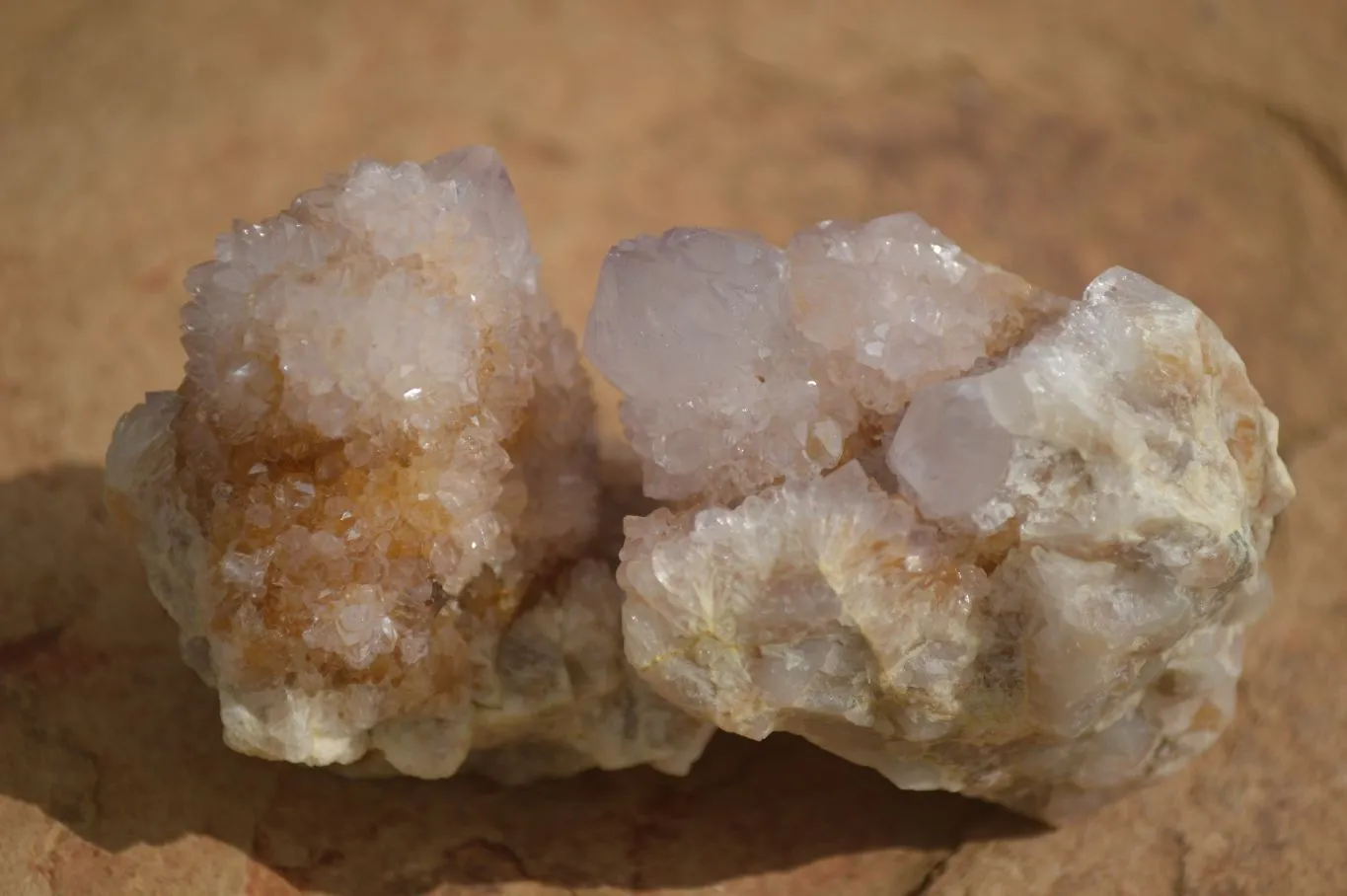 Natural Spirit Amethyst / Ametrine Quartz Clusters x 12 From Boekenhouthoek, South Africa