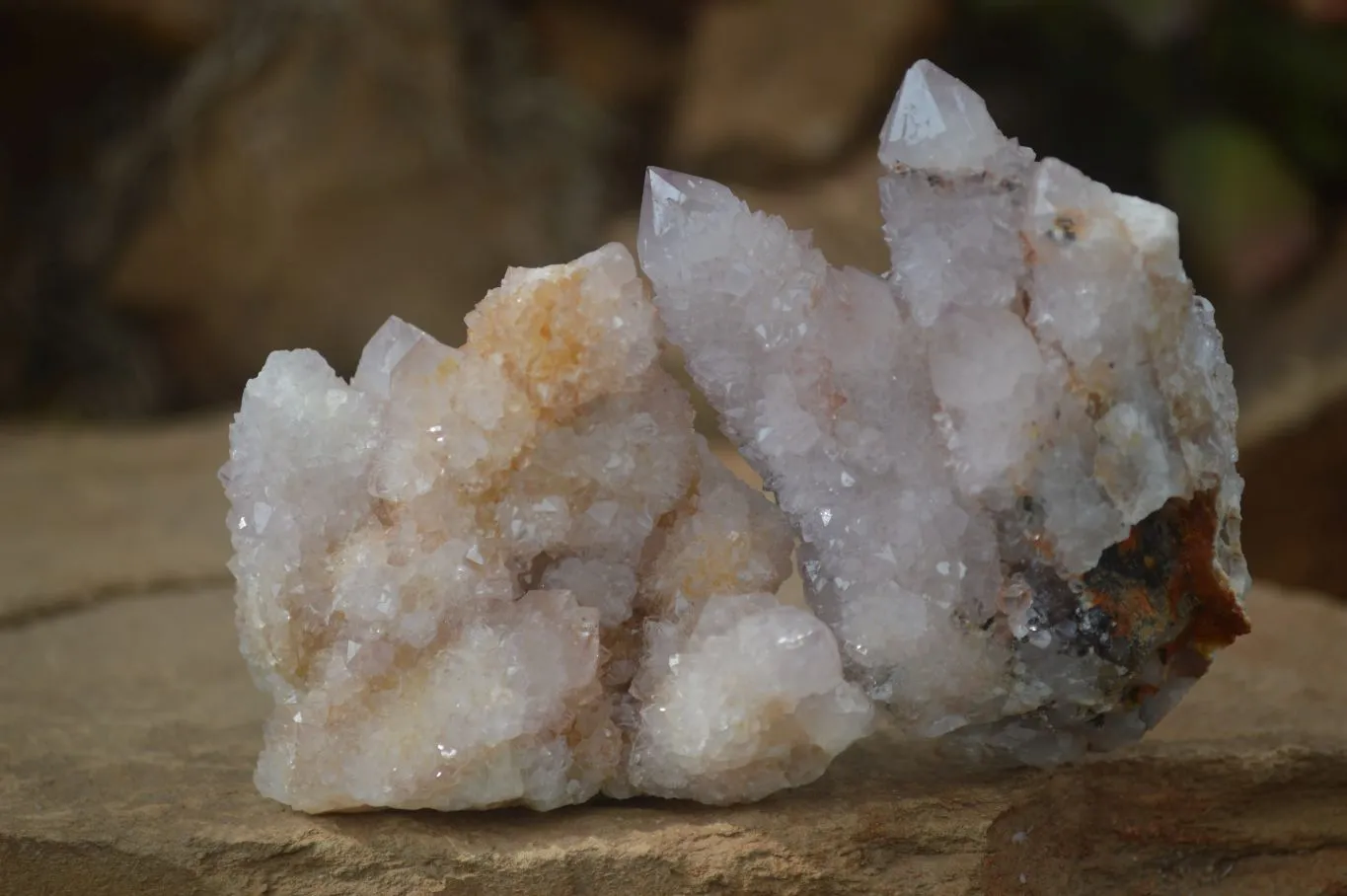 Natural Spirit Amethyst / Ametrine Quartz Clusters x 12 From Boekenhouthoek, South Africa