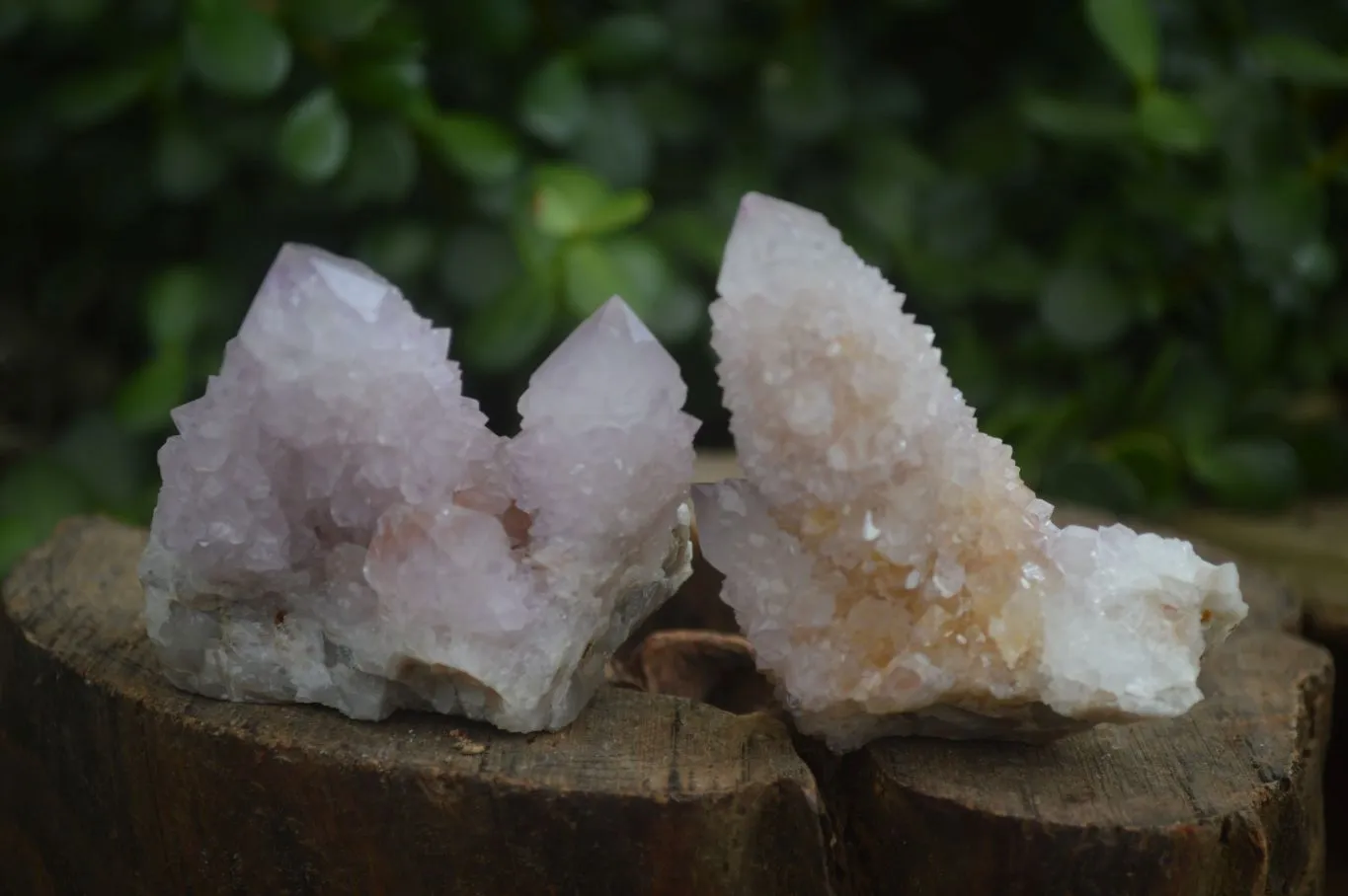 Natural Spirit Amethyst / Ametrine Quartz Clusters x 12 From Boekenhouthoek, South Africa