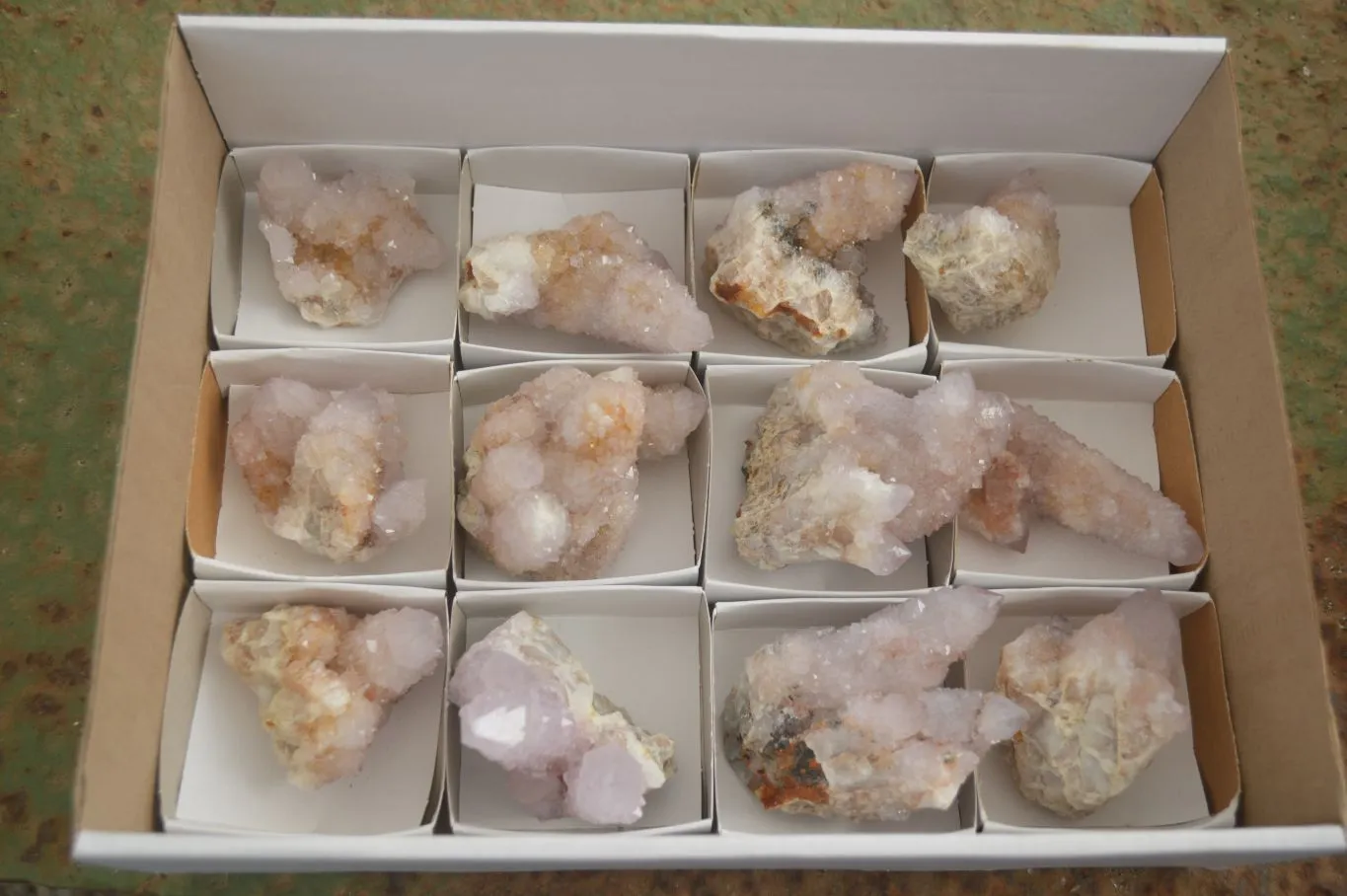 Natural Spirit Amethyst / Ametrine Quartz Clusters x 12 From Boekenhouthoek, South Africa