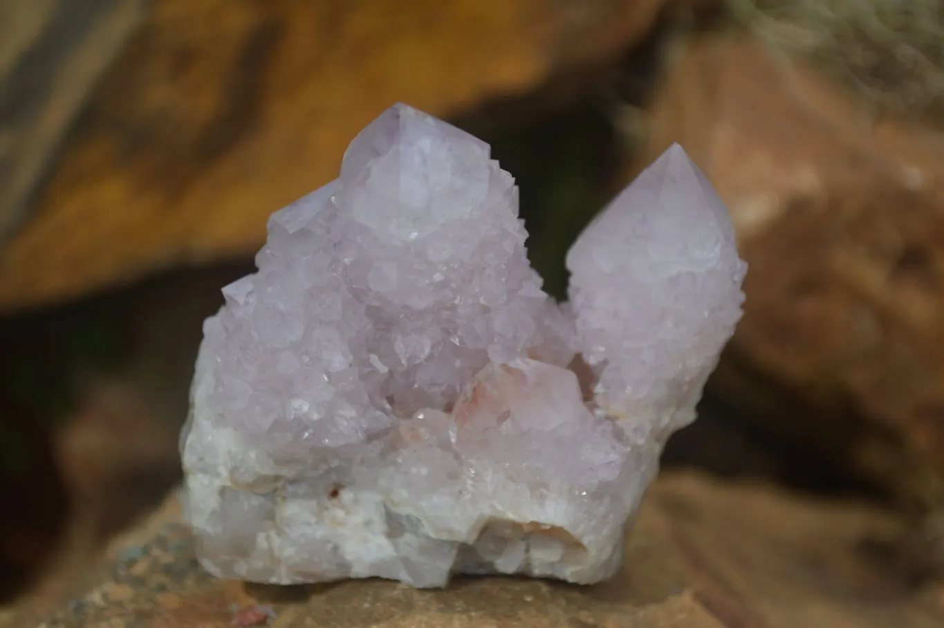 Natural Spirit Amethyst / Ametrine Quartz Clusters x 12 From Boekenhouthoek, South Africa