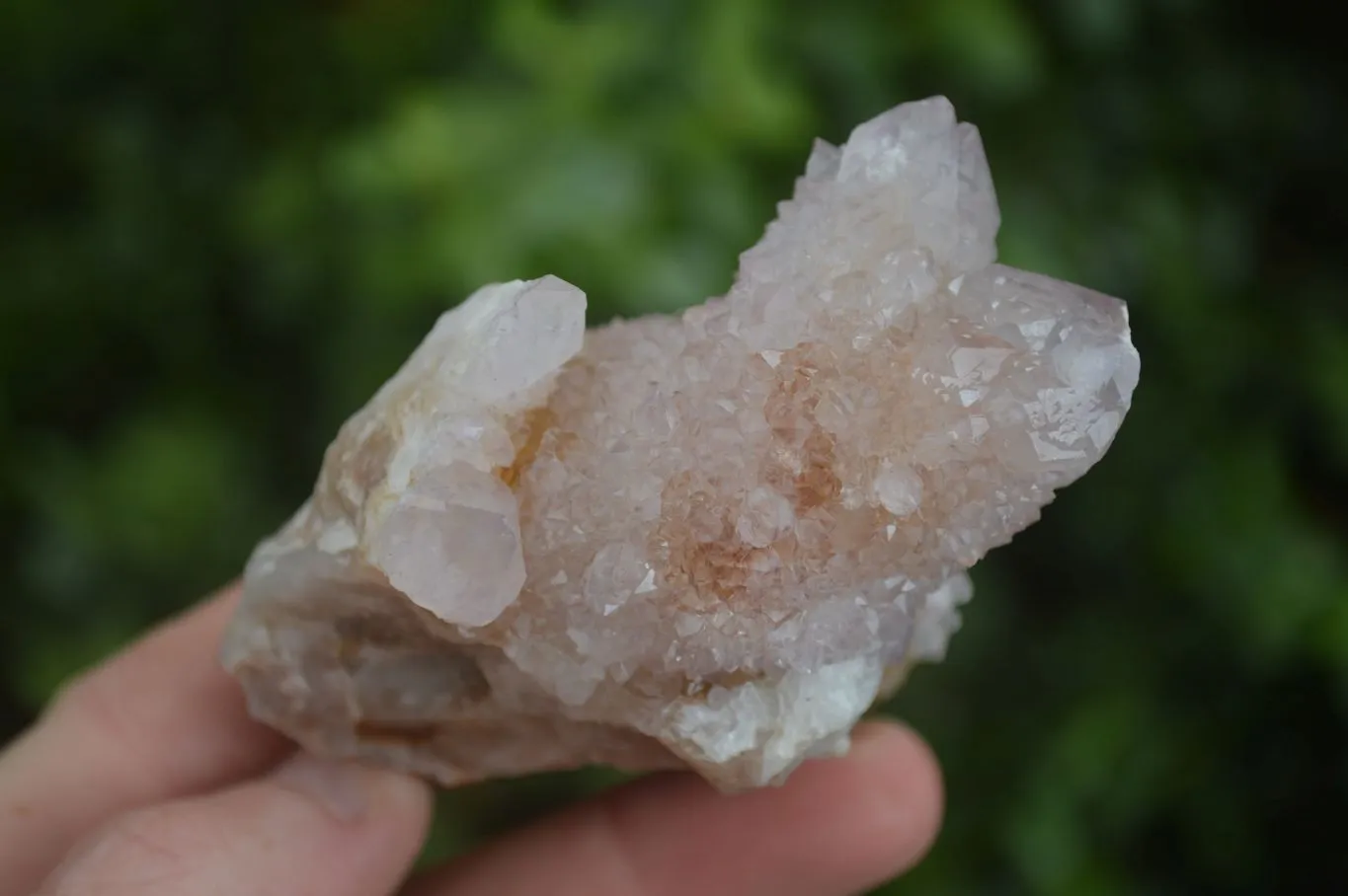 Natural Spirit Amethyst / Ametrine Quartz Clusters x 12 From Boekenhouthoek, South Africa