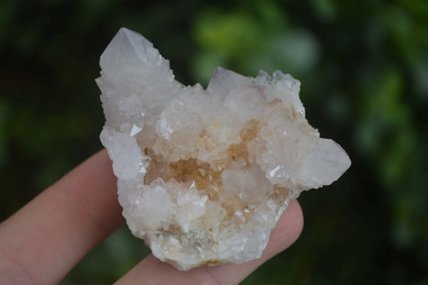 Natural Spirit Amethyst / Ametrine Quartz Clusters x 12 From Boekenhouthoek, South Africa