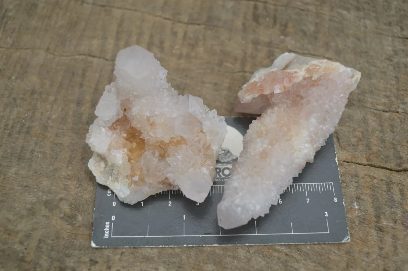 Natural Spirit Amethyst / Ametrine Quartz Clusters x 12 From Boekenhouthoek, South Africa