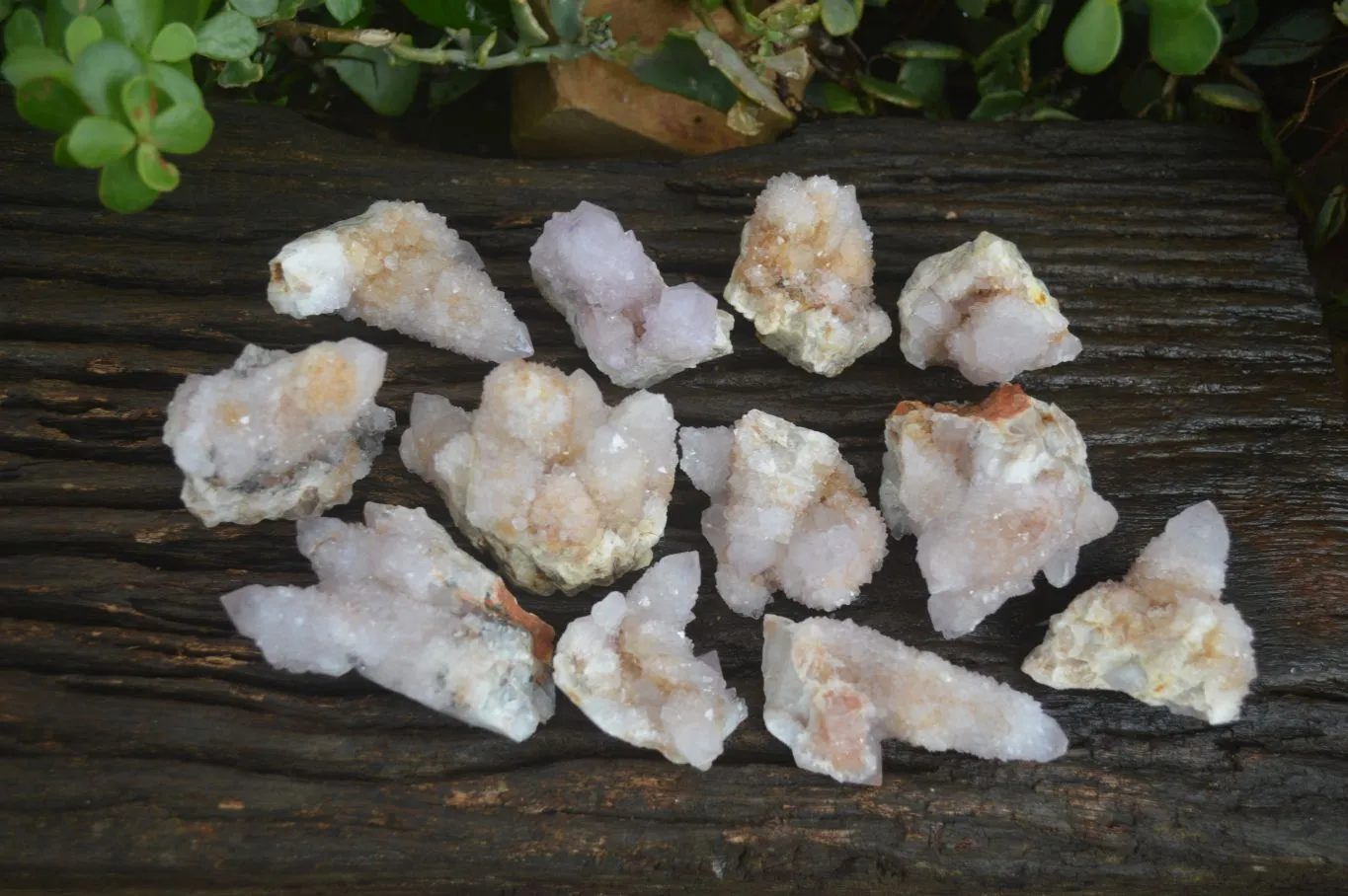 Natural Spirit Amethyst / Ametrine Quartz Clusters x 12 From Boekenhouthoek, South Africa