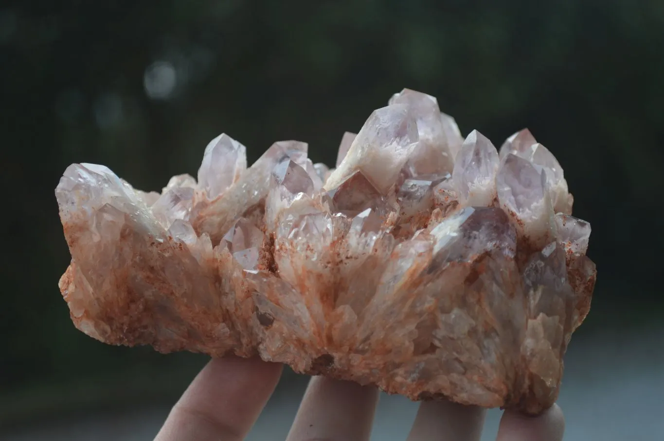 Natural Sugar Amethyst Clusters  x 4 From Zambia