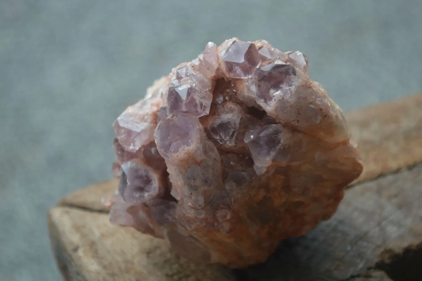 Natural Sugar Amethyst Clusters  x 4 From Zambia