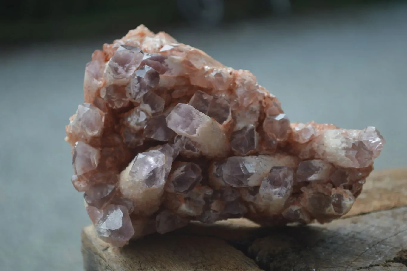 Natural Sugar Amethyst Clusters  x 4 From Zambia