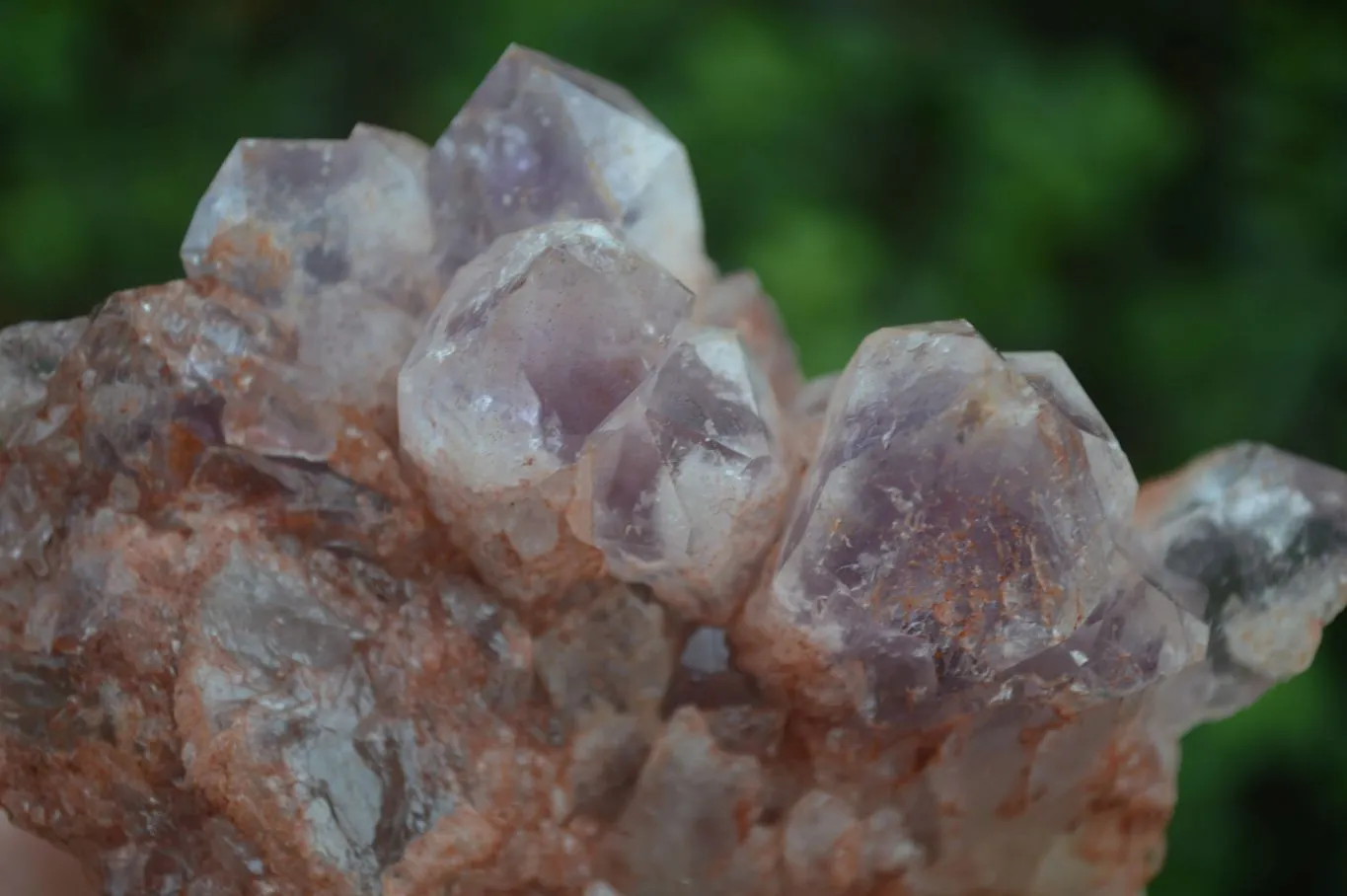 Natural Sugar Amethyst Clusters  x 4 From Zambia