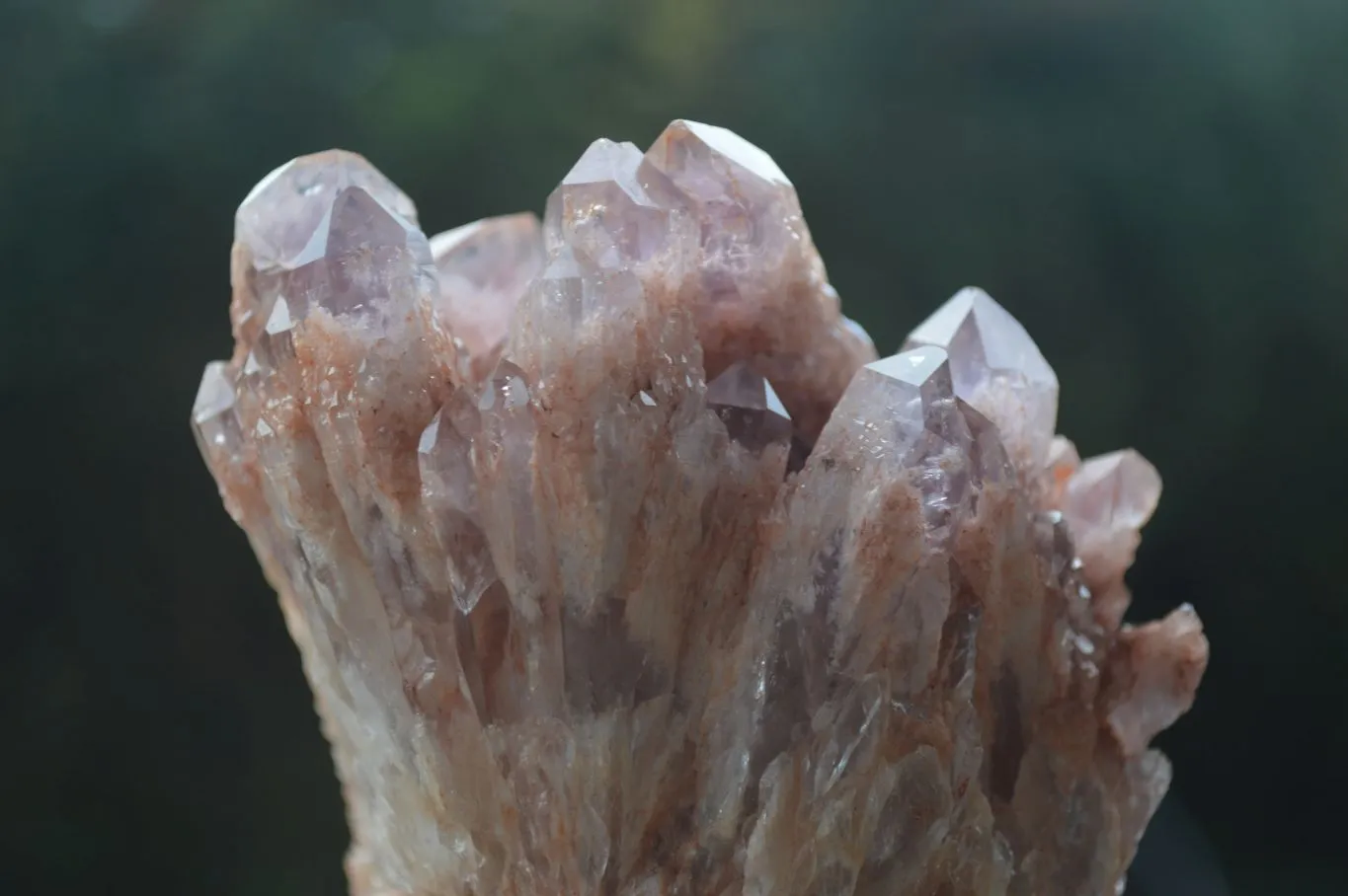 Natural Sugar Amethyst Clusters  x 4 From Zambia