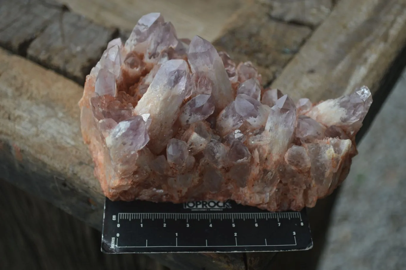 Natural Sugar Amethyst Clusters  x 4 From Zambia