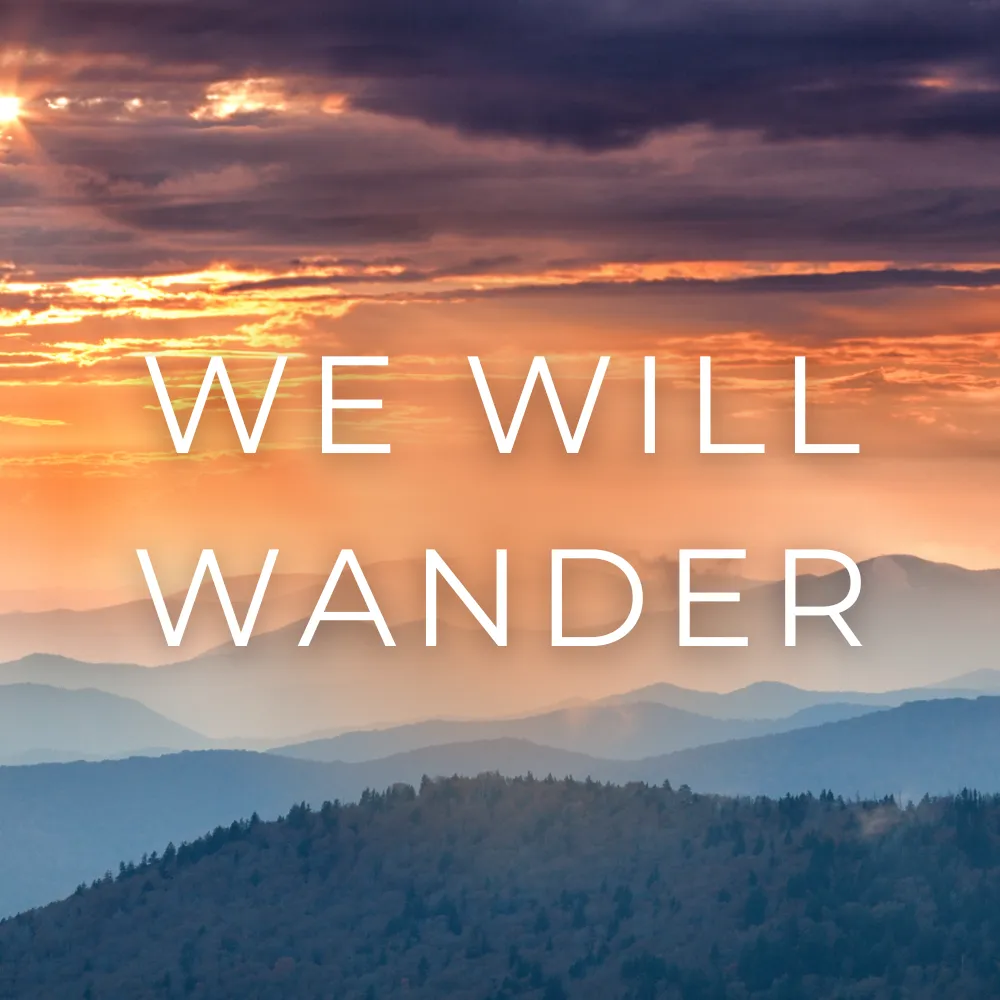 WE WILL WANDER Band